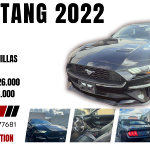 mustang-2022