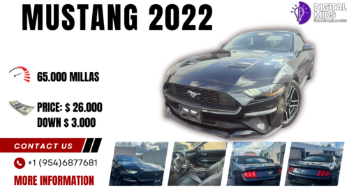 mustang-2022