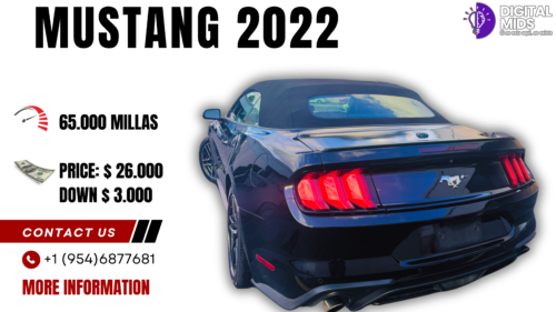 mustang-2022