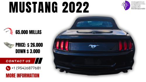 mustang-2022