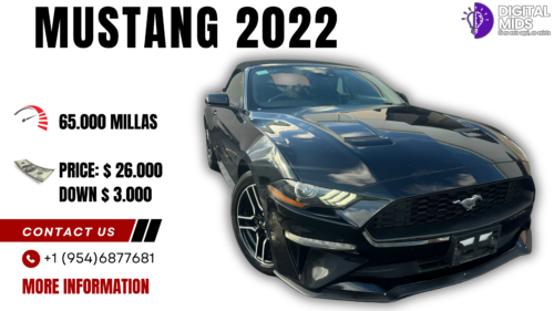 mustang-2022